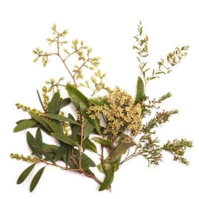 0D3C8197-F82F-4EA6-866B-32BD417C236E