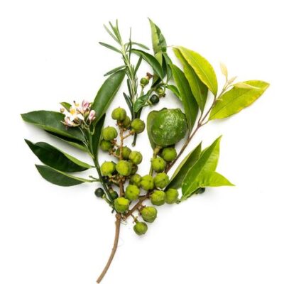 9C22606A-0520-49F7-A031-8CFDD687C592