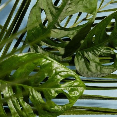 HAAN DEODORANT SENSITIVE REFILL FOREST GRACE