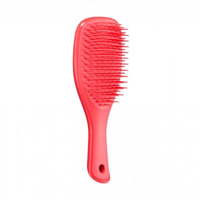 TANGLE TEEZER THE WET DETANGLER REGULAR PINK PUNCH MINI