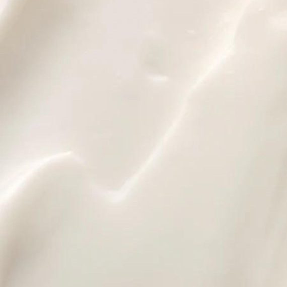 BJORK AND BERRIES HAND CREAM NEVER SPRING