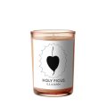 D. S. & DURGA CANDLE HOLY FICUS