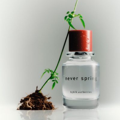 BJORK AND BERRIES NEVER SPRING EAU DE PARFUM